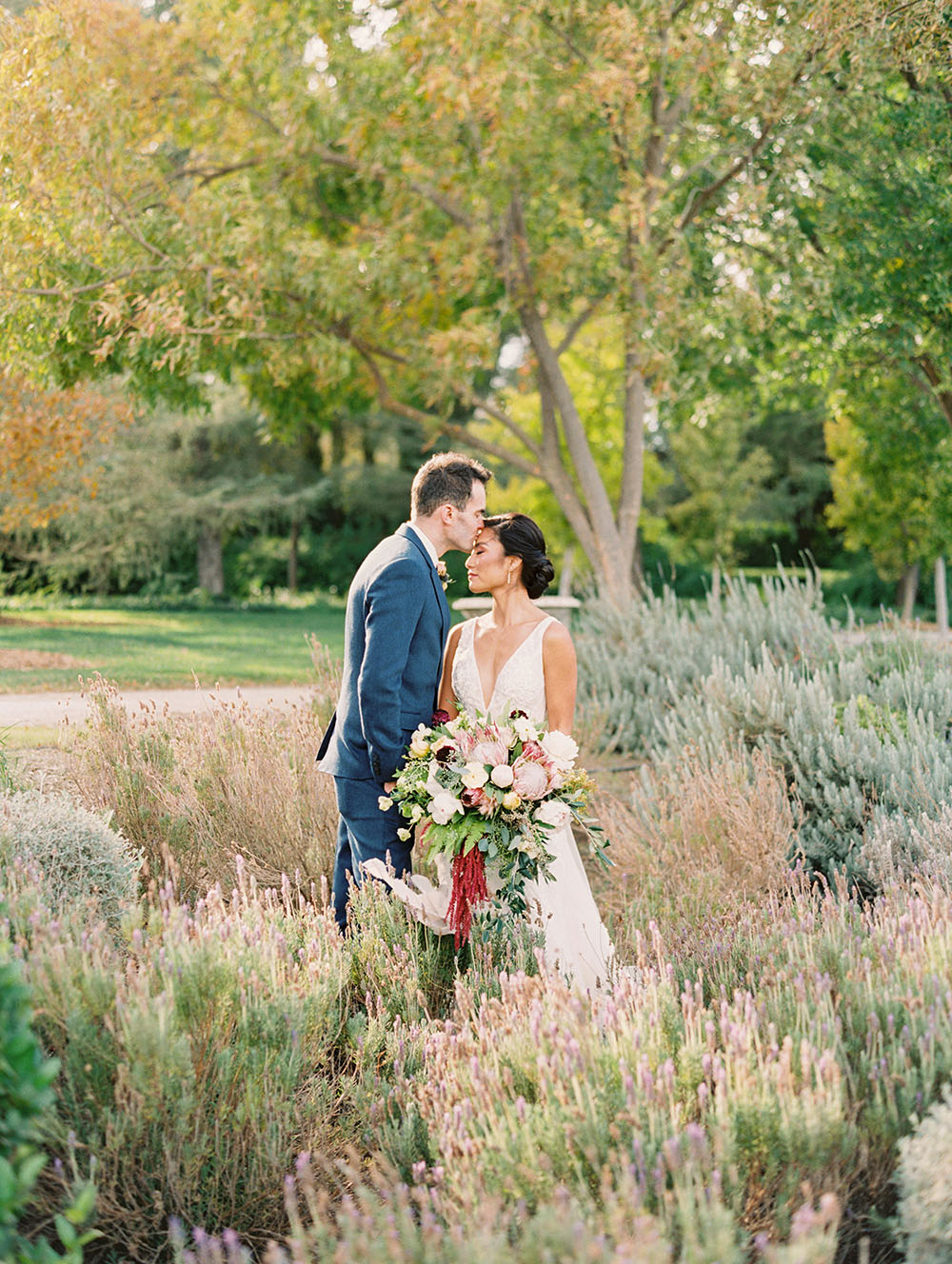 Chân dung cặp đôi cánh đồng oải hương tại Park Winters cho một đám cưới bằng lò vi sóng ở Bắc California